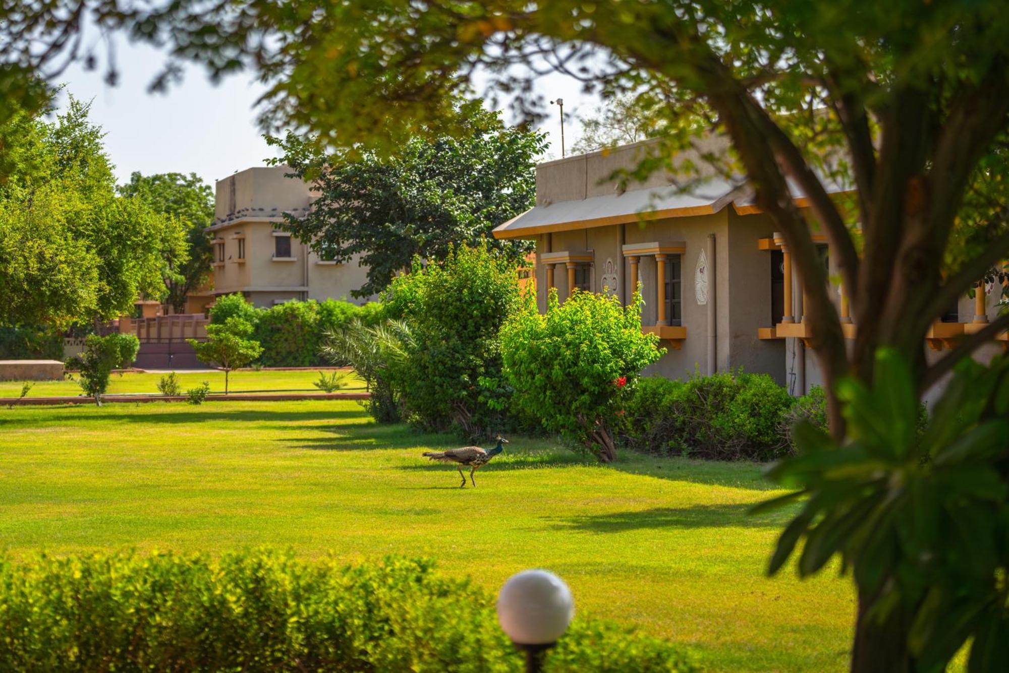 Thar Oasis Resort And Camp Dechu Esterno foto